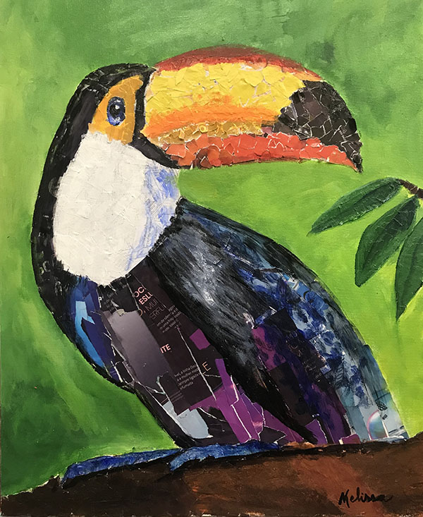 Tucano - 40 x 50 - Mista Colagem- 2018